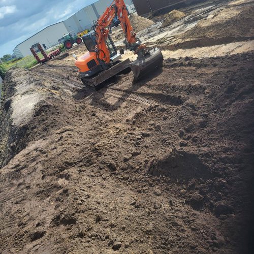 WhatsApp Image 2024-10-14 at 17.42.17